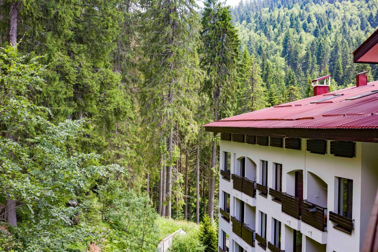 Forest Dream Apartment - Elit Pamporovo Luaran gambar