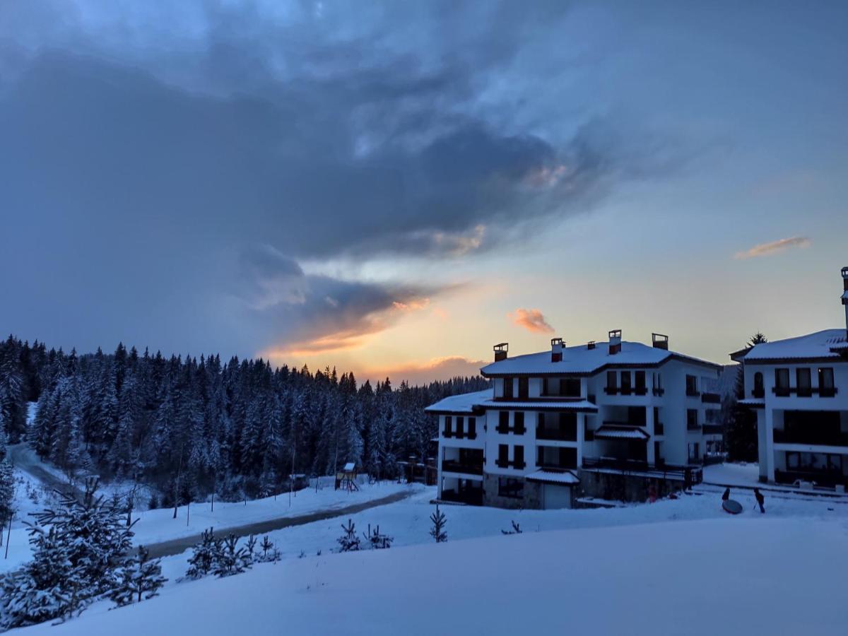 Forest Dream Apartment - Elit Pamporovo Luaran gambar