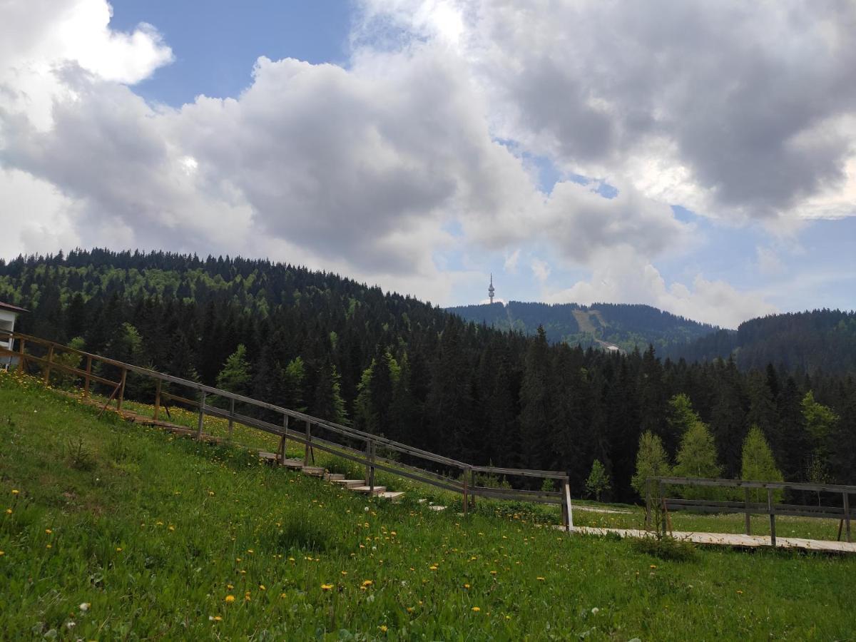 Forest Dream Apartment - Elit Pamporovo Luaran gambar