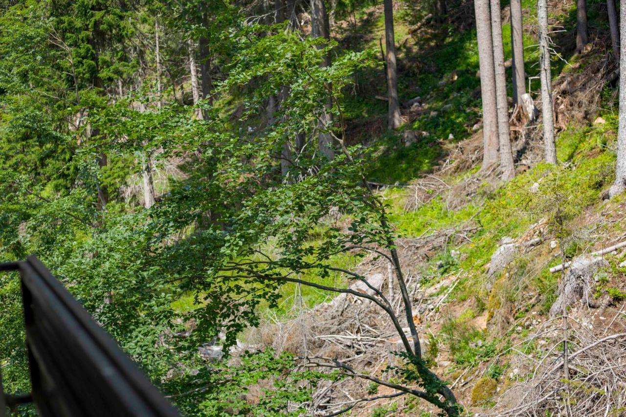 Forest Dream Apartment - Elit Pamporovo Luaran gambar