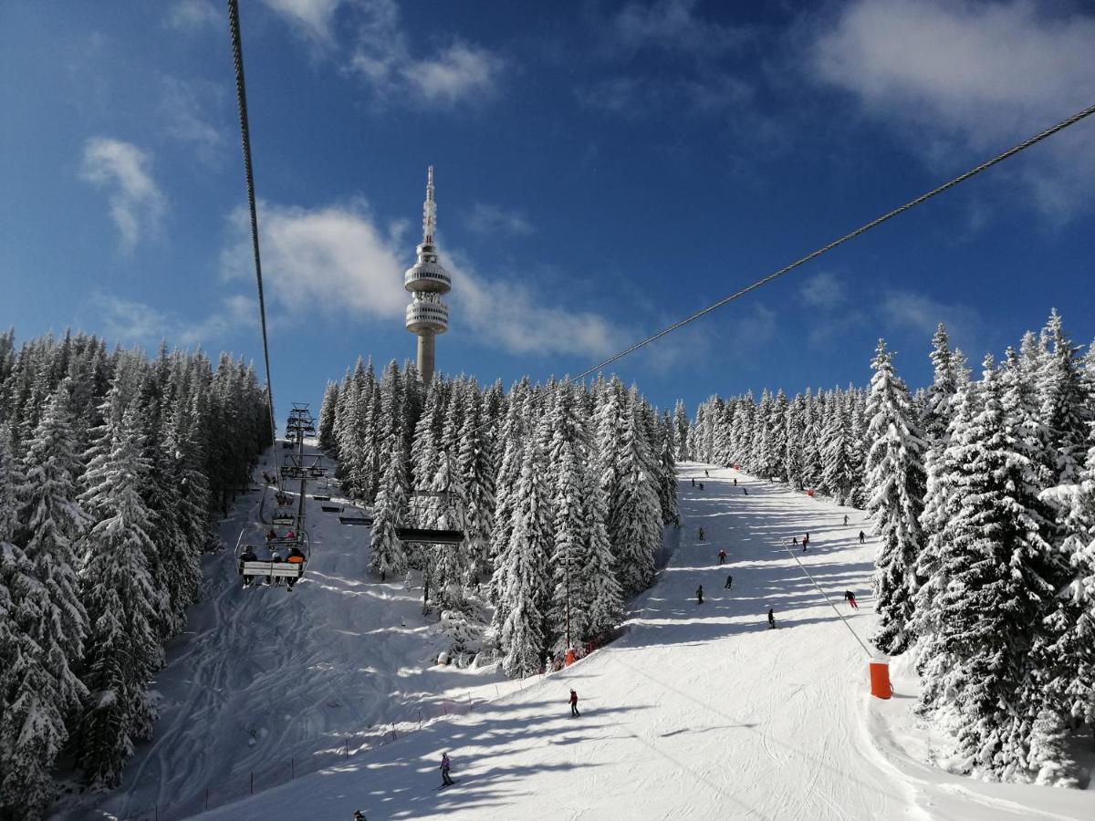 Forest Dream Apartment - Elit Pamporovo Luaran gambar